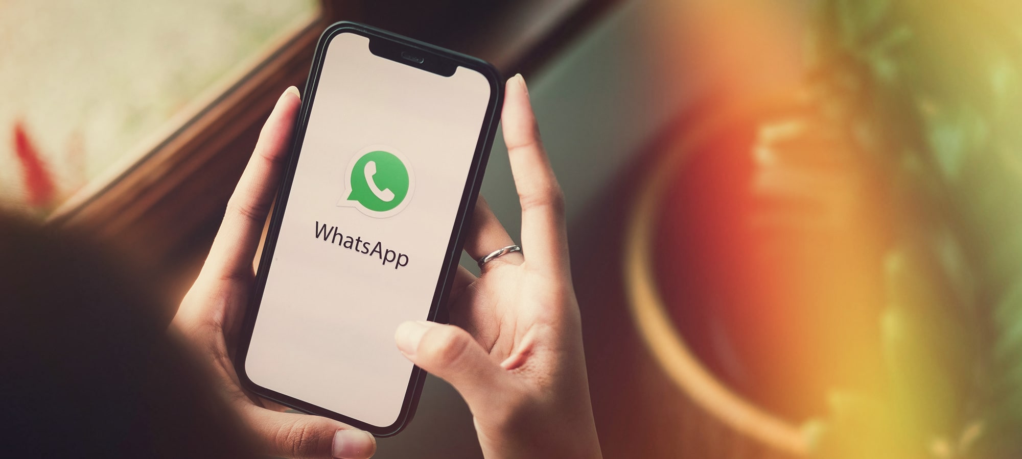 WhatsApp Business (Chat & Service): Services und Lösungen unserer Digitalagentur