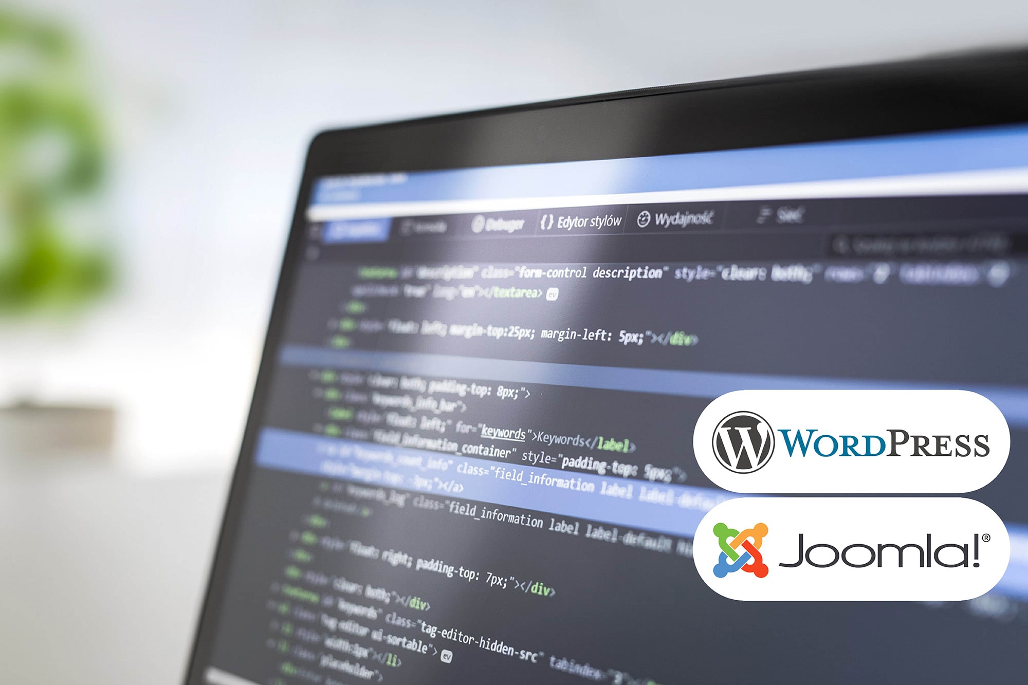 Webdesign mit WordPress & Joomla